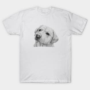 Labrador retriever - yellow T-Shirt